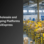 Wholesale and Dropshipping Platforms | IgniteSupplyChain